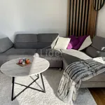 Rent 2 bedroom apartment of 47 m² in Grad Rijeka