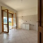 Rent 1 bedroom apartment of 110 m² in Montecastrilli