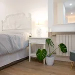 Rent 1 bedroom apartment in madrid