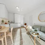 Rent 3 bedroom apartment in Brno