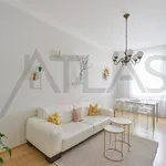 Rent 3 bedroom apartment of 83 m² in Prague