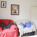 Rent a room in dublin