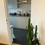 Rent 2 bedroom apartment in Antwerpen