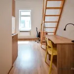 Rent 1 bedroom apartment in Brno