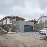 Rent 1 bedroom house of 764 m² in Heršpice