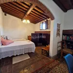 Rent 3 bedroom apartment of 60 m² in Pisa