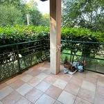 Rent 3 bedroom apartment of 54 m² in Toulouse