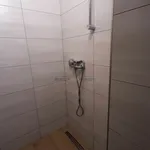 Rent 1 bedroom apartment in Blansko