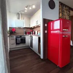 Rent 1 bedroom apartment of 45 m² in Nuremberg