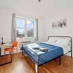 Rent 1 bedroom apartment in New York