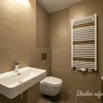 Rent 4 bedroom apartment of 119 m² in Prague