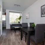 Rent 3 bedroom apartment of 73 m² in Rotterdam