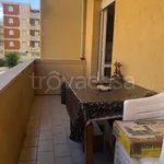 Rent 2 bedroom apartment of 60 m² in Alghero