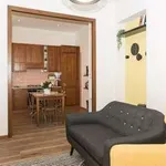 Rent 4 bedroom apartment of 65 m² in Rome