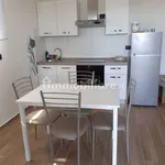 Rent 2 bedroom apartment of 48 m² in Bologna