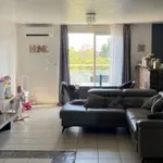 Rent 3 bedroom apartment of 61 m² in Marseille