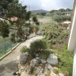 Rent 2 bedroom apartment of 60 m² in Spotorno