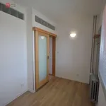 Rent 3 bedroom apartment of 36 m² in Smiřice