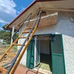 Rent 2 bedroom house of 50 m² in Velletri