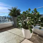 Rent 5 bedroom apartment of 78 m² in Paradiso