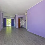 Rent 4 bedroom apartment of 110 m² in Torino