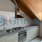 Rent 3 bedroom apartment of 107 m² in Monza