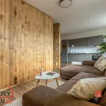 Rent 2 bedroom apartment in Praha 4