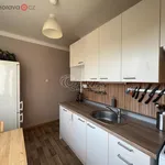 Rent 3 bedroom apartment of 53 m² in Ulice: