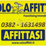 Affitto 1 camera appartamento di 25 m² in Pavia