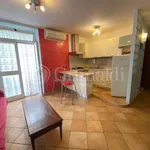 Rent 2 bedroom apartment of 55 m² in Roma