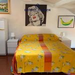 Rent 1 bedroom apartment of 35 m² in Parma