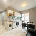 Rent 2 bedroom apartment of 50 m² in Turin