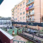 Rent 3 bedroom apartment in genoa