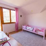 Rent 3 bedroom apartment of 250 m² in Budapest