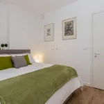 Rent 1 bedroom apartment in Turin