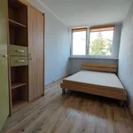 Rent 3 bedroom apartment of 47 m² in Legnica