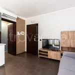 Rent 1 bedroom apartment of 35 m² in Sesto San Giovanni