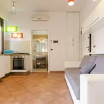 Rent 1 bedroom apartment in bologna