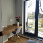 Rent 3 bedroom apartment of 67 m² in Wrocław