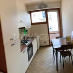 Rent 4 bedroom apartment of 110 m² in Pisa