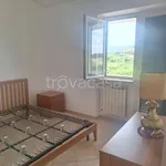 Rent 3 bedroom apartment of 74 m² in Zagarolo