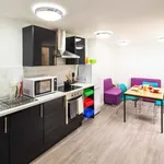 Rent 1 bedroom flat in Brighton