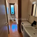 Rent 3 bedroom apartment of 96 m² in Turin