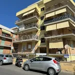 Rent 2 bedroom apartment of 55 m² in Nettuno