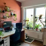 Rent 2 bedroom apartment in Ghent