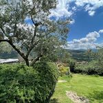 Rent 9 bedroom apartment of 250 m² in Cortona