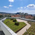 Rent 1 bedroom apartment of 44 m² in Graz