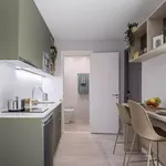 Rent 9 bedroom apartment in Porto