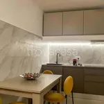 Rent 1 bedroom apartment of 39 m² in Milano