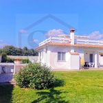 Affittasi Villa, VILLETTA IN AFFITTO A 50 M DAL MARE SANTA SEVERA - Annunci Santa Marinella (Roma) - Rif.563013